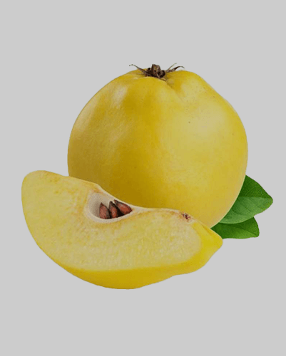 Ayva