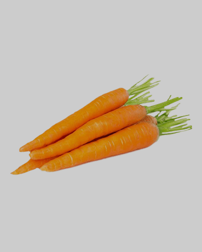 Havuç