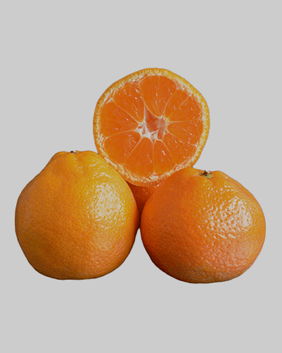 Okitsu