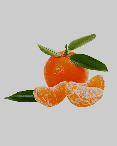 Satsuma